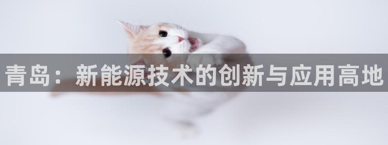申博官方网站手机版下载