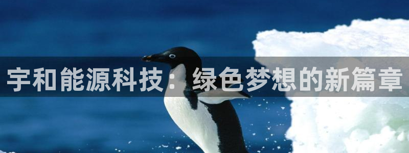 sunbet英语翻译