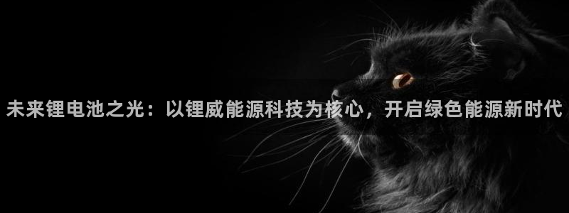 申博手机版官网