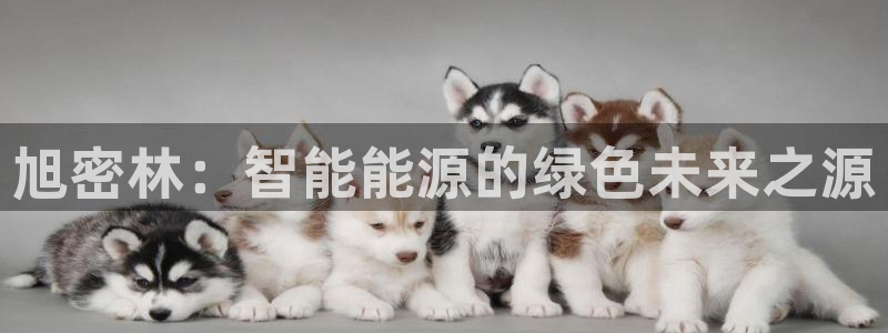 sunbet首页登录入口