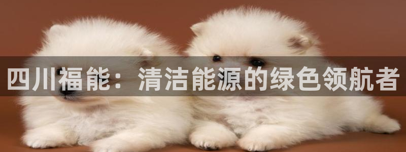 sunbet游戏