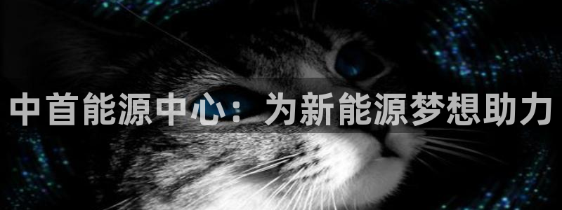 申博官网手机版下载app