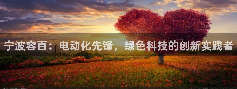 sunbet英语翻译