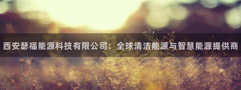 sunbet源码