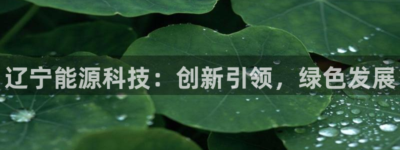 sunbet申搏官方网站