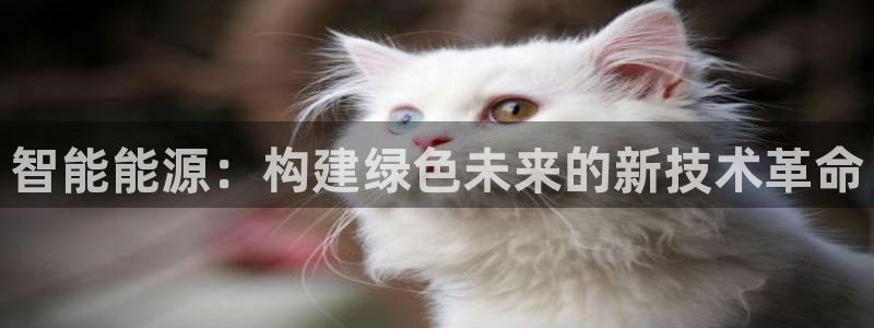 申博app下载