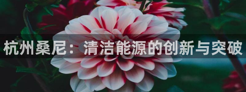 申博app下载