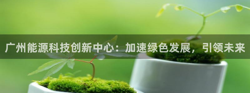 sunbet手机网页版本