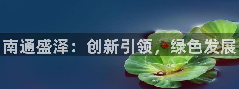 sunbet手机网页版