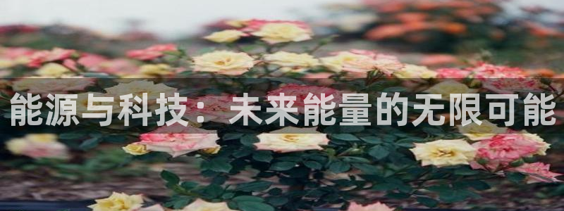 sunbet手机网页版本