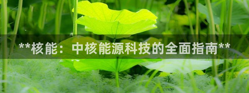 sunbet官网开户登录手机版