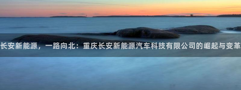 sunbet手机网页版本