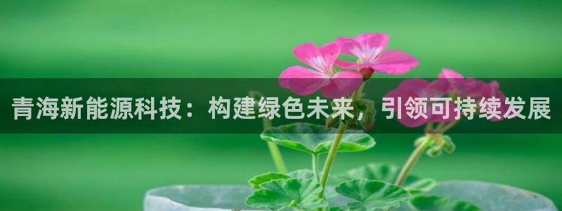 申博官方网站手机版下载