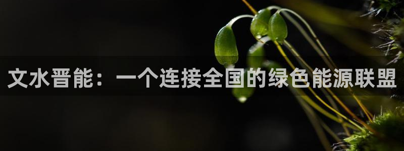 申博官方网站手机版下载