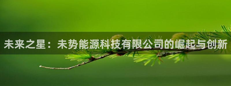 sunbet手机网页版本