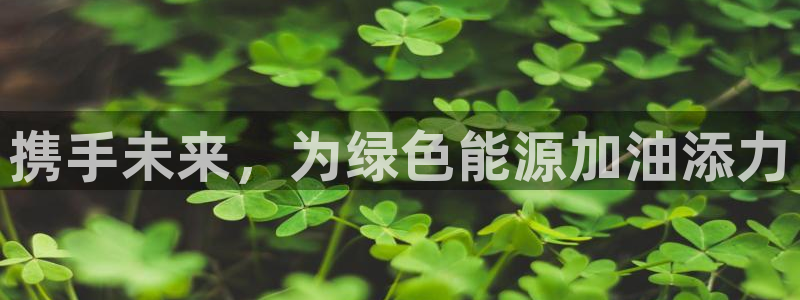 sunbet最新消息