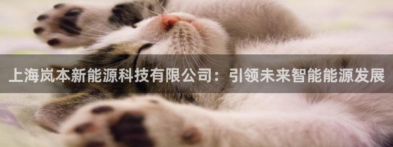 sunbet手机网页版